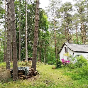 Romantisches Kleines Altes Häuschen Im Zauberwesenwald Deutschland